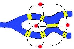 数学家欧拉:所有人的老师(组图)_科学探索