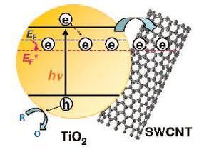 美科学家定量确定碳纳米管电学性质(图)