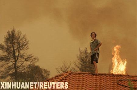 ϣ����������Ű��̬�������˵���(ͼ)