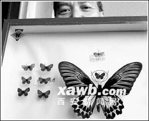 ���������й���С����С���ҵ�(ͼ)