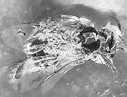 �ܽ��۷������ѧ�ҽ⿪��������֮��(ͼ)