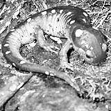 ��ѧ�ҽ�ʾ�������֮��(ͼ)