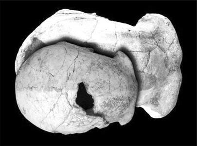 �����໯ʯ��ʾ���˺�ֱ���˿���������