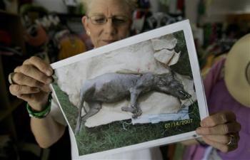 ����Ů���������Լ�ũ��������Ѫ����