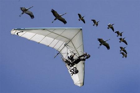 ѧҡӰʦ˹ٰ˼ʻɡѵĺɡ