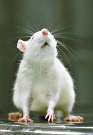 ���ܶ���ʵ������Ļ����ֺ�����Я��Խ��(ͼ)