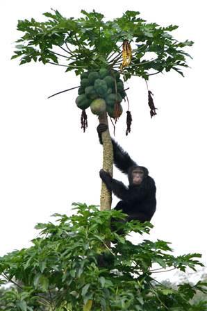 ����������Ҳ����͵ˮ����������ע��(ͼ)