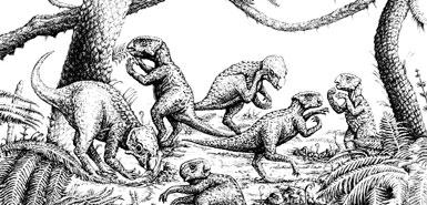 ����������������ж�����6�����������ʯ