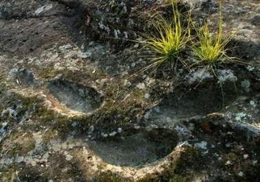 意大利开放38.5万年前古道 可观先人足迹手印