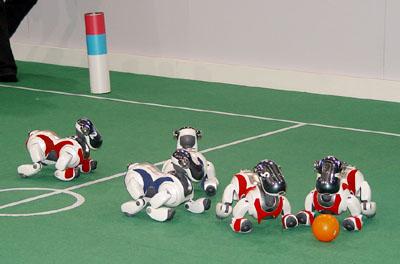 2007中国机器人大赛暨RoboCup公开赛比赛项