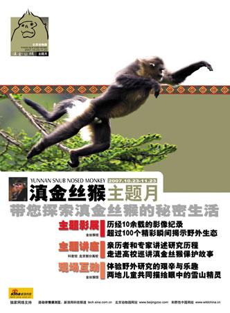 “滇金丝猴主题月”23日在北京动物园启动