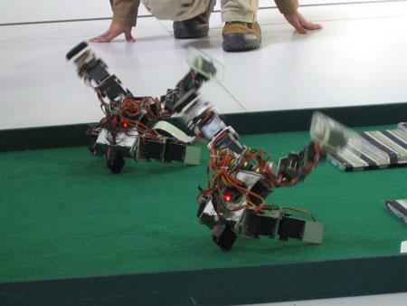 ͼ�ģ��赸�����������ϱ��ݵ���