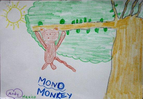 滇金丝猴月儿童绘画比赛优秀作品展示(组图)(4