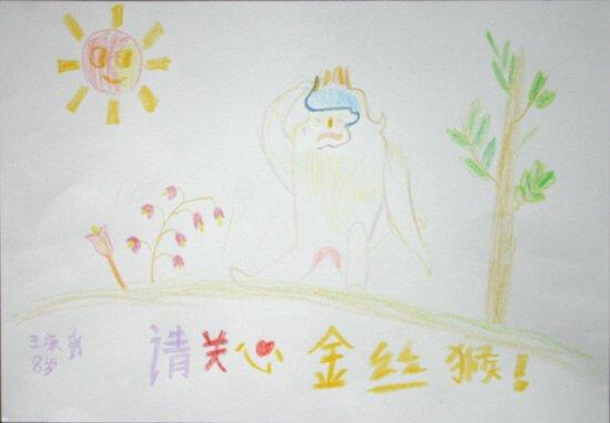 滇金丝猴月儿童绘画比赛优秀作品展示(组图)(5
