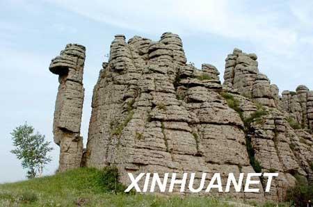 ������ʹ�԰�й���������