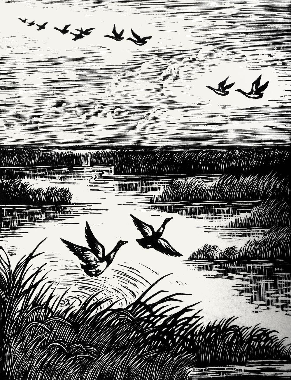 玛法达看星星（9月16日至9月22日）