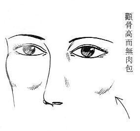 女人面相之颧骨会克夫(图片来源于作者博客) 女人面相之颧骨会克夫(图片来源于作者博客)