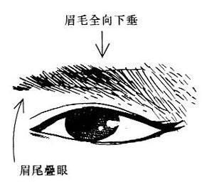 女人面相之何谓眉寒(图片来源于作者博客) 女人面相之何谓眉寒(图片来源于作者博客)