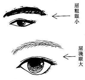 女人面相之眉眼配合(图片来源于作者博客) 女人面相之眉眼配合(图片来源于作者博客)