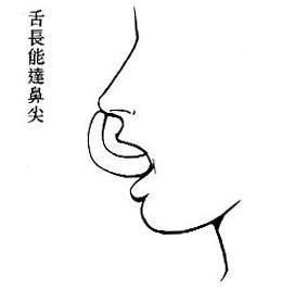 女人面相之长舌的人(图片来源于作者博客) 女人面相之长舌的人(图片来源于作者博客)