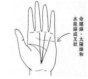 大富大贵的女人掌纹(图片来源于作者博客) 大富大贵的女人掌纹(图片来源于作者博客)