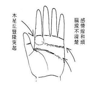 先天运看掌后天运看面(图片来源于作者博客) 先天运看掌后天运看面(图片来源于作者博客)