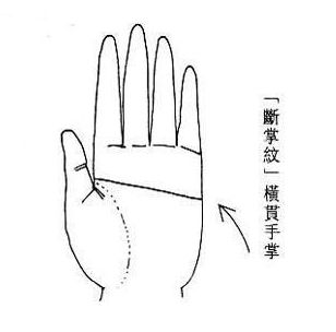 真假:女人断掌饿断肠?(图片来源于作者博客) 真假:女人断掌饿断肠?(图片来源于作者博客)
