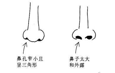 能成为富婆的女人面相(图片来源于作者博客) 鼻孔对女人财运的影响(图片来源于作者博客)