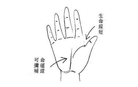 生命线短未必会短命(图片来源于作者博客) 生命线短未必会短命(图片来源于作者博客)