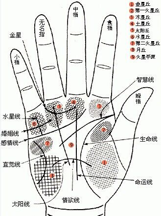 滥施情感的六大手相(图片来源作者博客) 滥施情感的六大手相(图片来源作者博客)