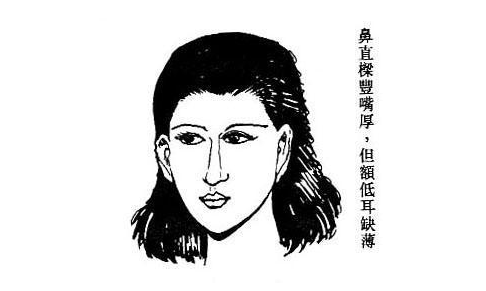 鼻子大的人性欲极强(图片来源于作者博客) 鼻子大的人性欲极强(图片来源于作者博客)