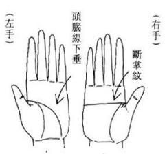 手相不能只看一只手 手相不能只看一只手