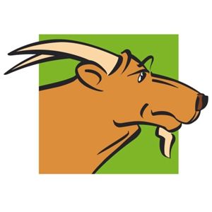 魔羯座爱情吉日吉时 魔羯座爱情吉日吉时