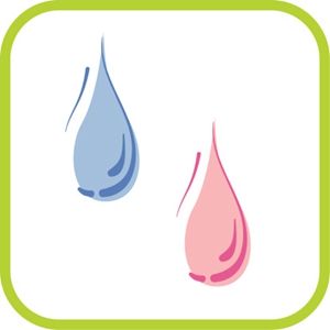 双子女善于经营婚姻 双子女善于经营婚姻