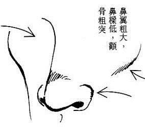 菲佣的面相(图片来源于作者) 菲佣的面相(图片来源于作者)