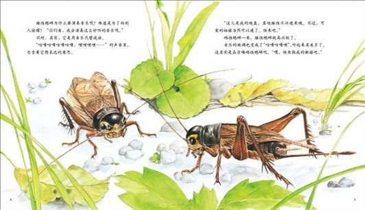 邂逅法布尔昆虫记 邂逅法布尔昆虫记