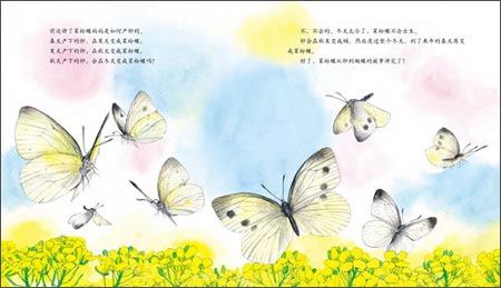 邂逅法布尔昆虫记 邂逅法布尔昆虫记