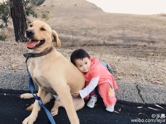 乐嘉2岁女儿 乐嘉2岁女儿