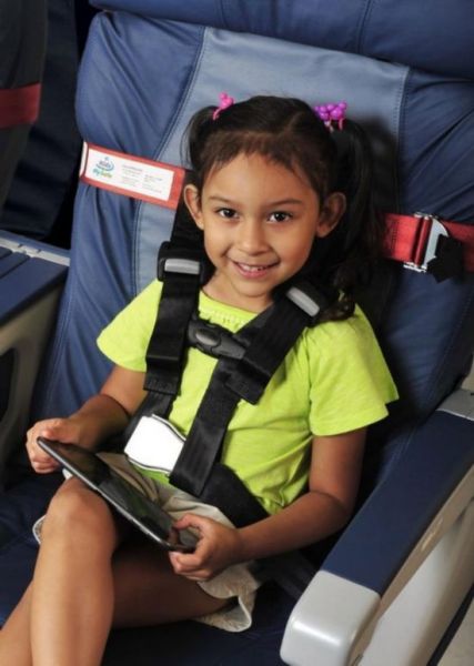 旅行安全带(Travel Harness) 旅行安全带(Travel Harness)