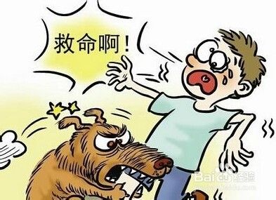 怎保护孩不受狗的攻击? 怎保护孩不受狗的攻击?