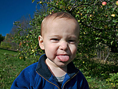 专家问答:育儿专家鲍秀兰答宝宝吃喝拉撒那些