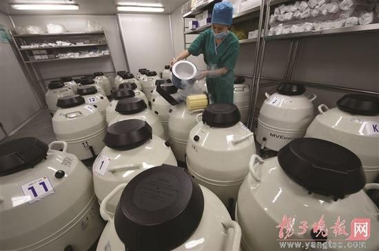 实验室核心区域的胚胎冷冻罐 实验室核心区域的胚胎冷冻罐
