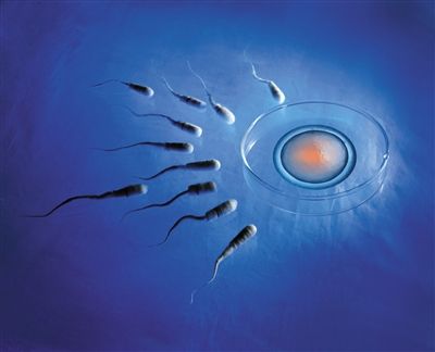 女性超过35岁，卵巢储备功能开始减退，染色体异常几率相应增加，胚胎种植率下降，也会导致成功率低。 创意摄影/新京报记者 王远征
