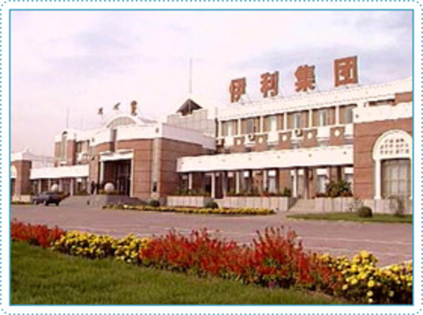 详细介绍_伊利普装较大婴儿配方奶粉900克_母