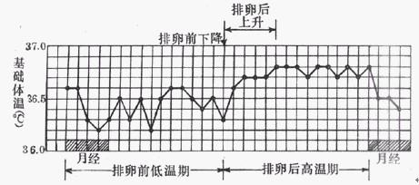 讨论:怎样更科学的测定排卵期?请大家参与讨论