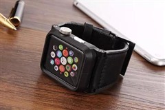 apple watch表带推荐牌子 2216470403.jpg