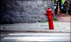 旅行图片整理：青岛[2009.07.50张]