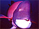 ̽ʮΪ(ͼ)