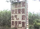 ʷߴľʾ