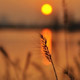 绍兴醉人夕阳